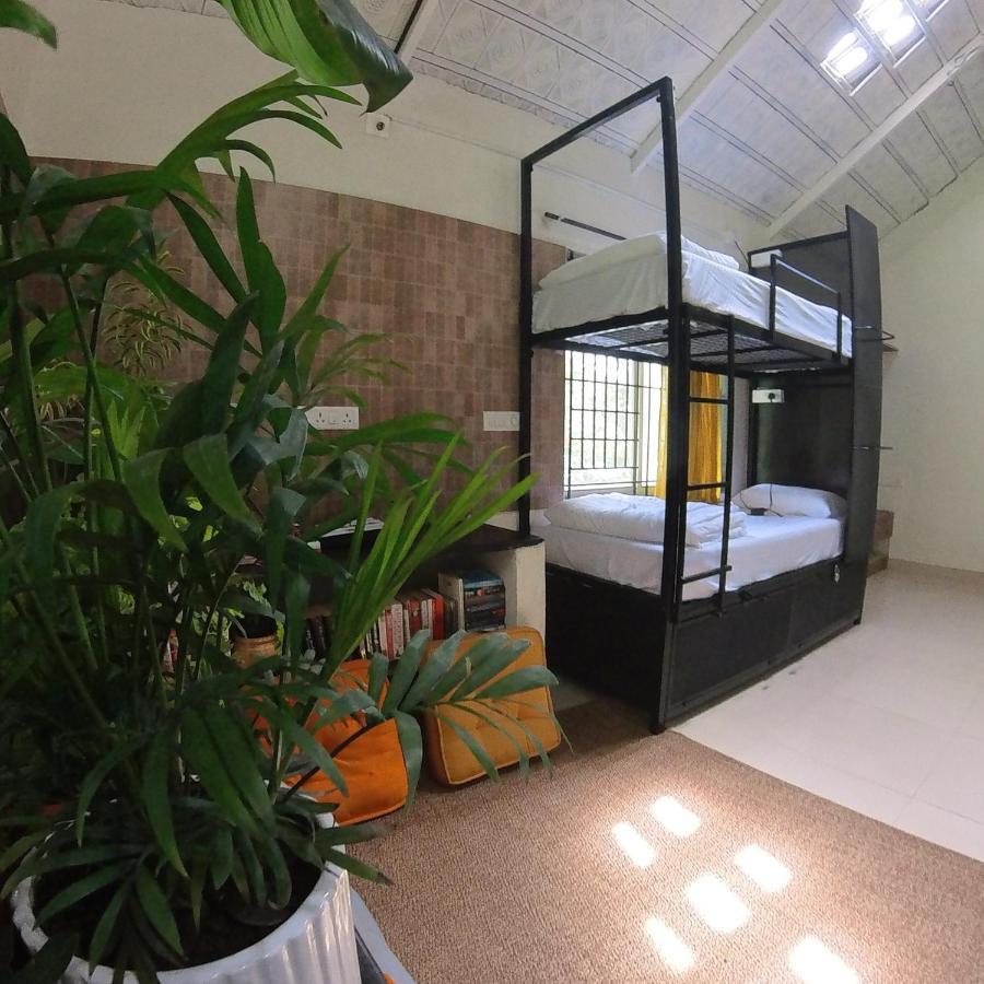 Benomadic Eco Hostel, Madikeri, Coorg Suntikoppa Экстерьер фото