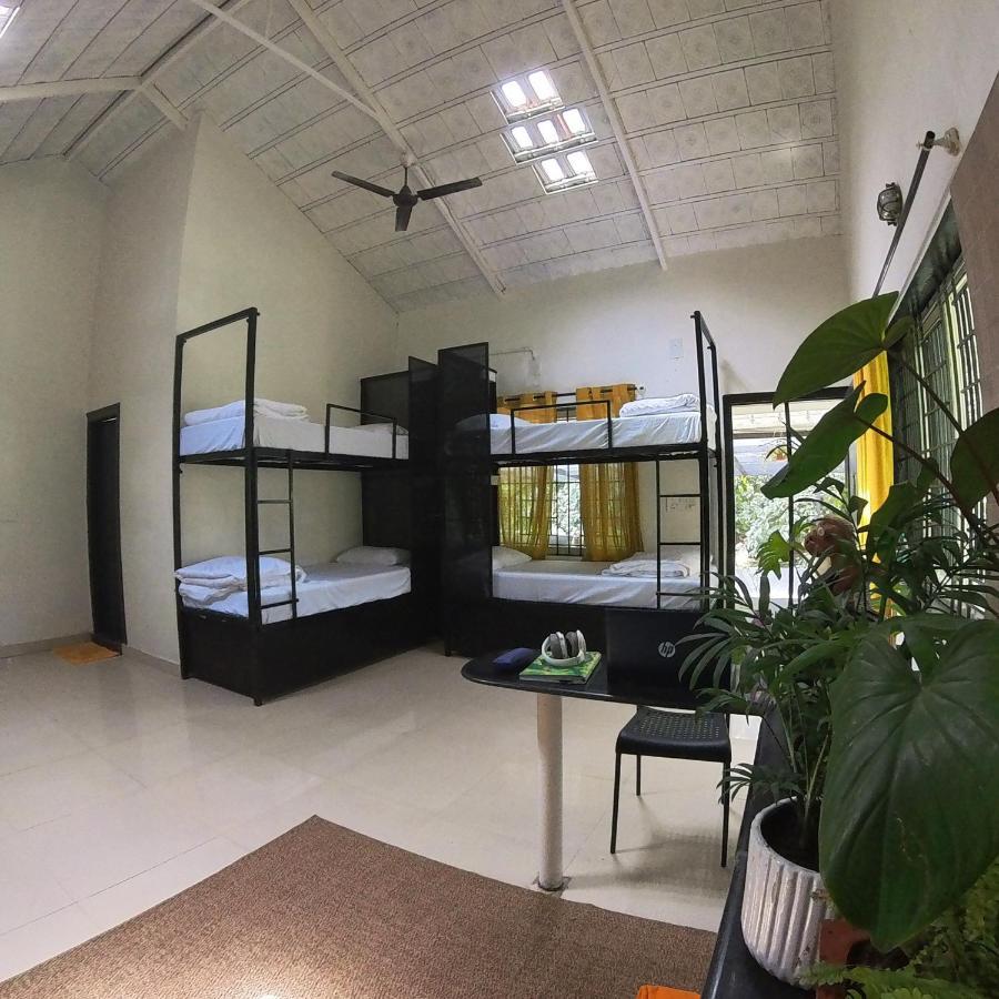 Benomadic Eco Hostel, Madikeri, Coorg Suntikoppa Экстерьер фото