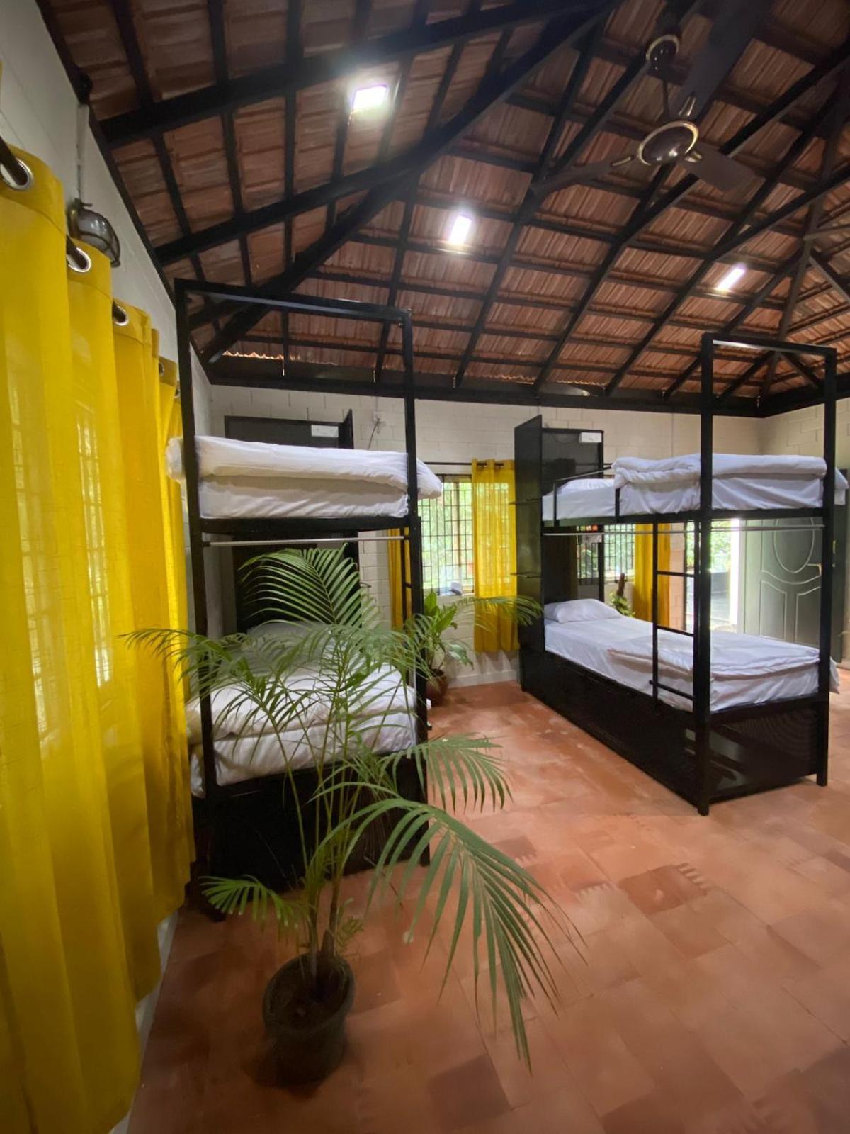 Benomadic Eco Hostel, Madikeri, Coorg Suntikoppa Экстерьер фото