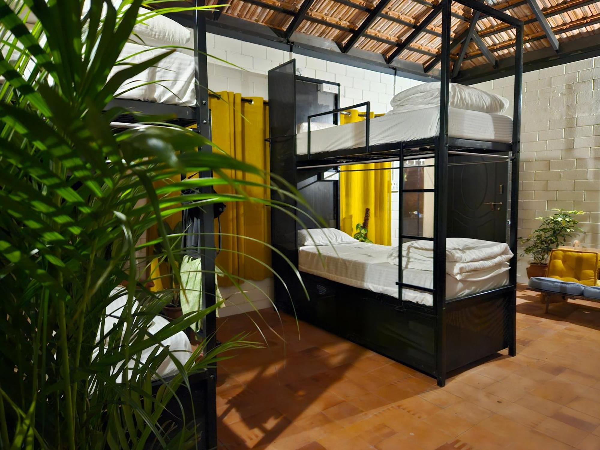 Benomadic Eco Hostel, Madikeri, Coorg Suntikoppa Экстерьер фото