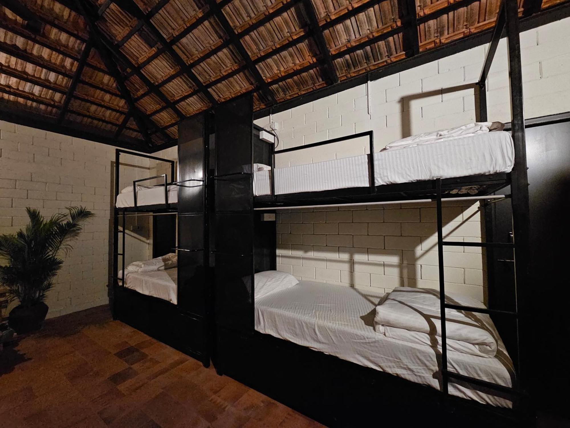 Benomadic Eco Hostel, Madikeri, Coorg Suntikoppa Экстерьер фото